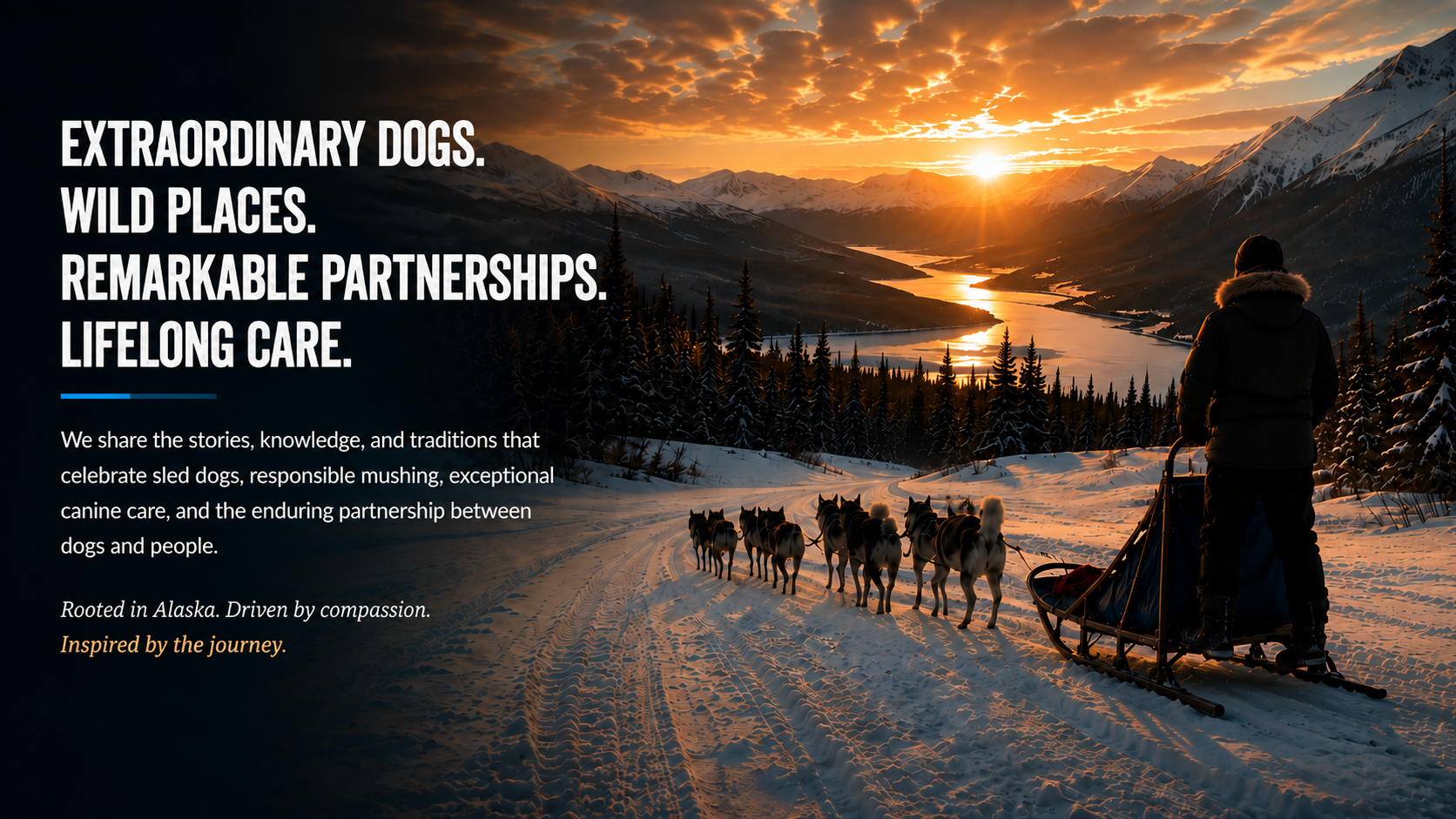 A sled dog team traveling through a sunlit Alaskan mountain valley