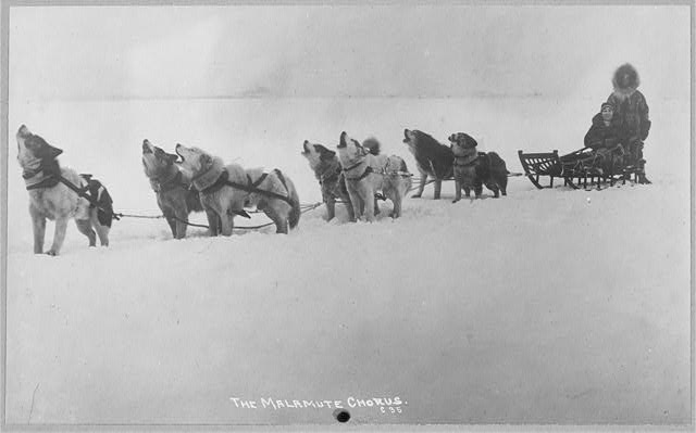 Historic sled dog team and mushers in Alaska