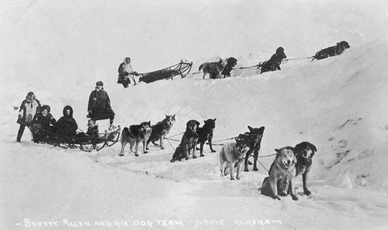 Scotty Allen and his dog team in Nome, Alaska, circa 1900 to 1912