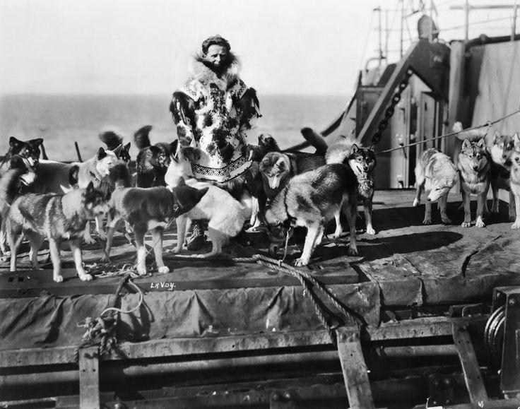 Historic sled dog team traveling through Alaska